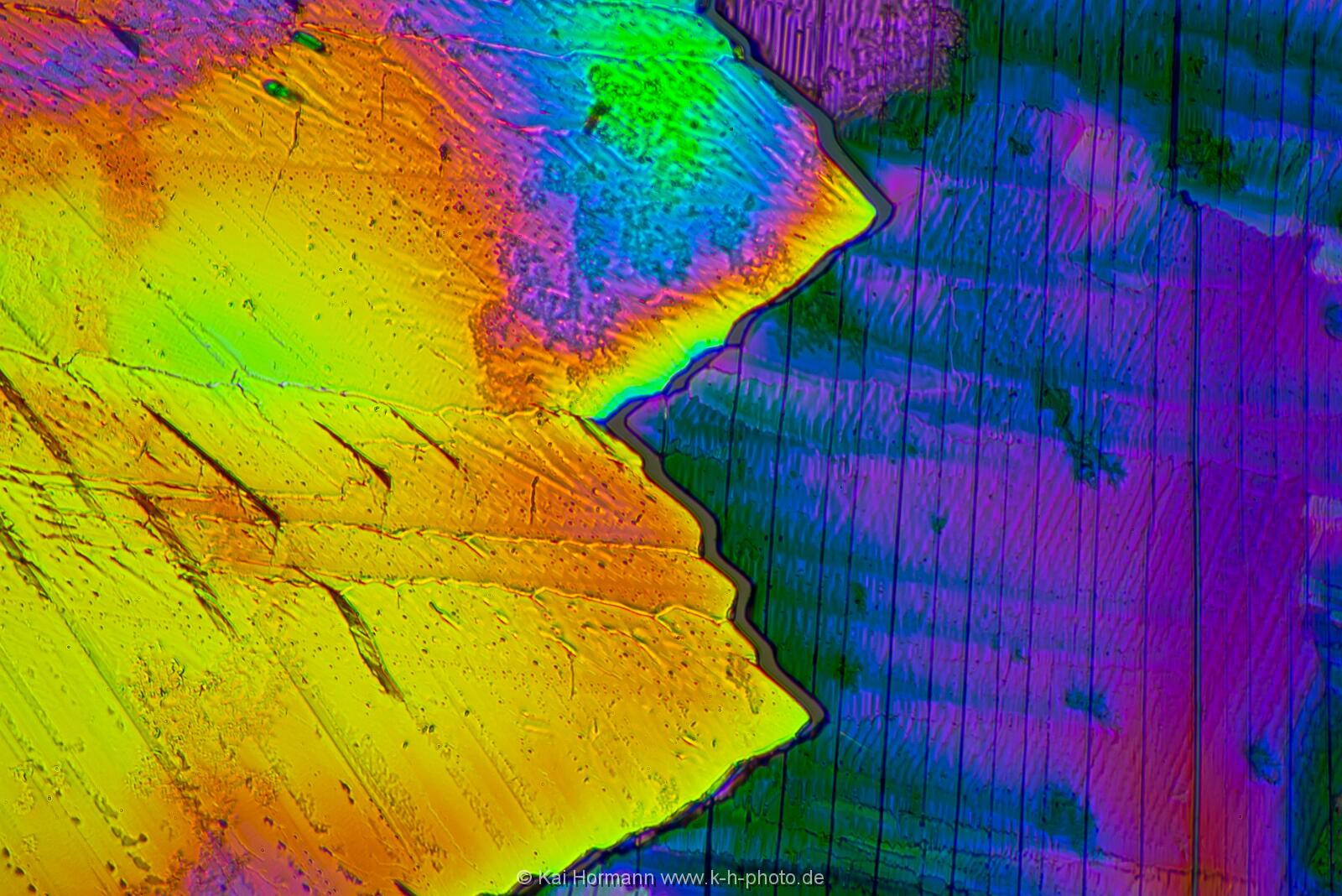 Adipinsäure Mikrokristalle im polarisierten Licht.
