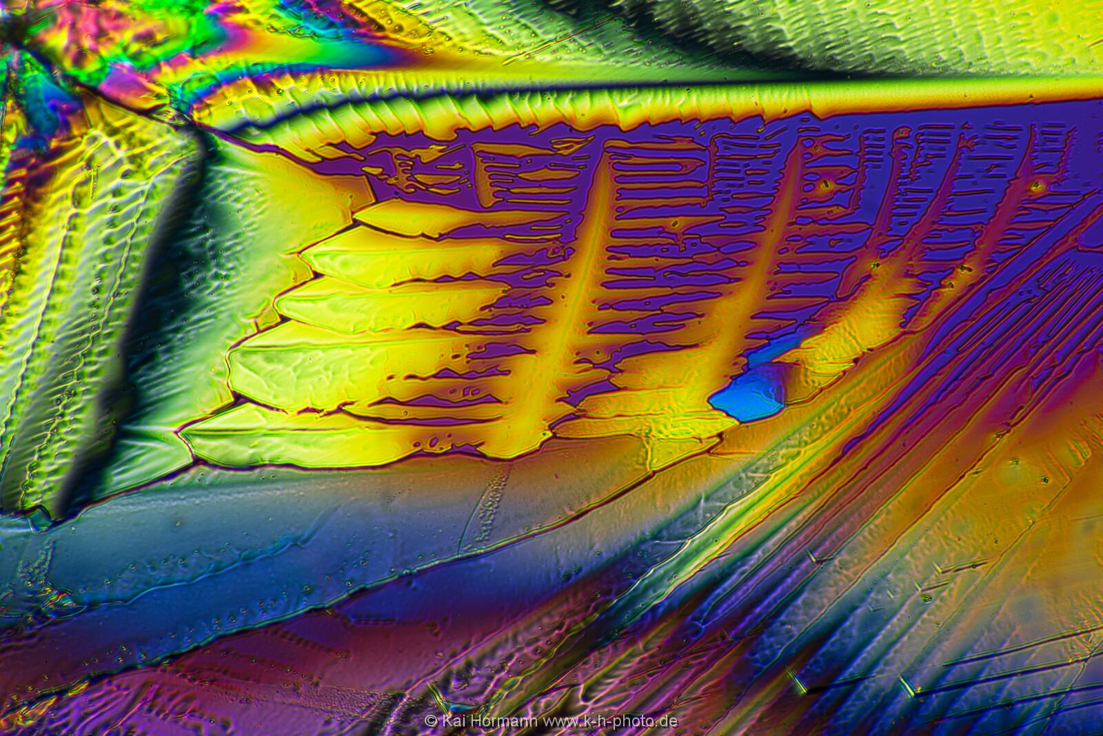Adipinsäure Mikrokristalle im polarisierten Licht.