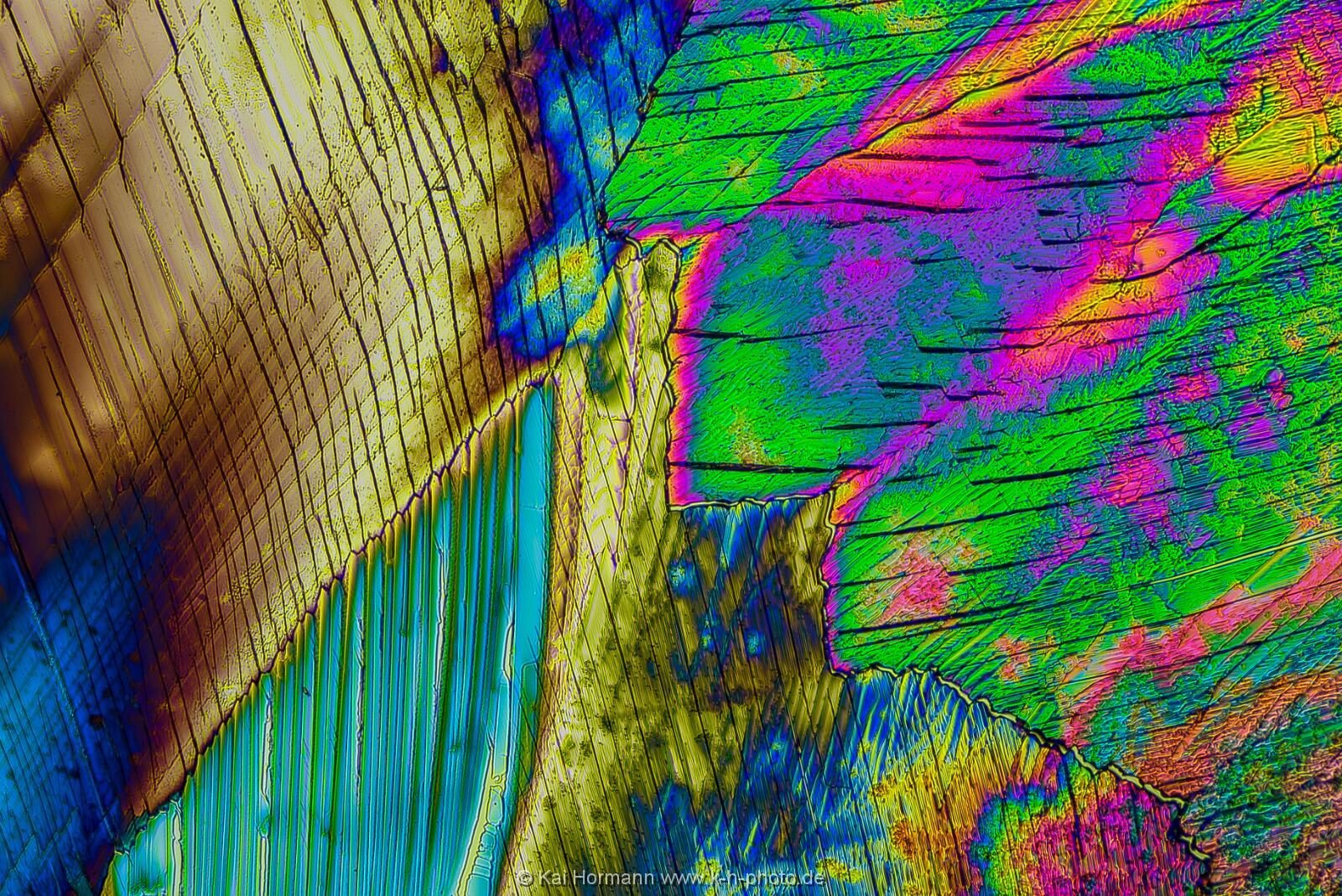 Adipinsäure Mikrokristalle im polarisierten Licht.