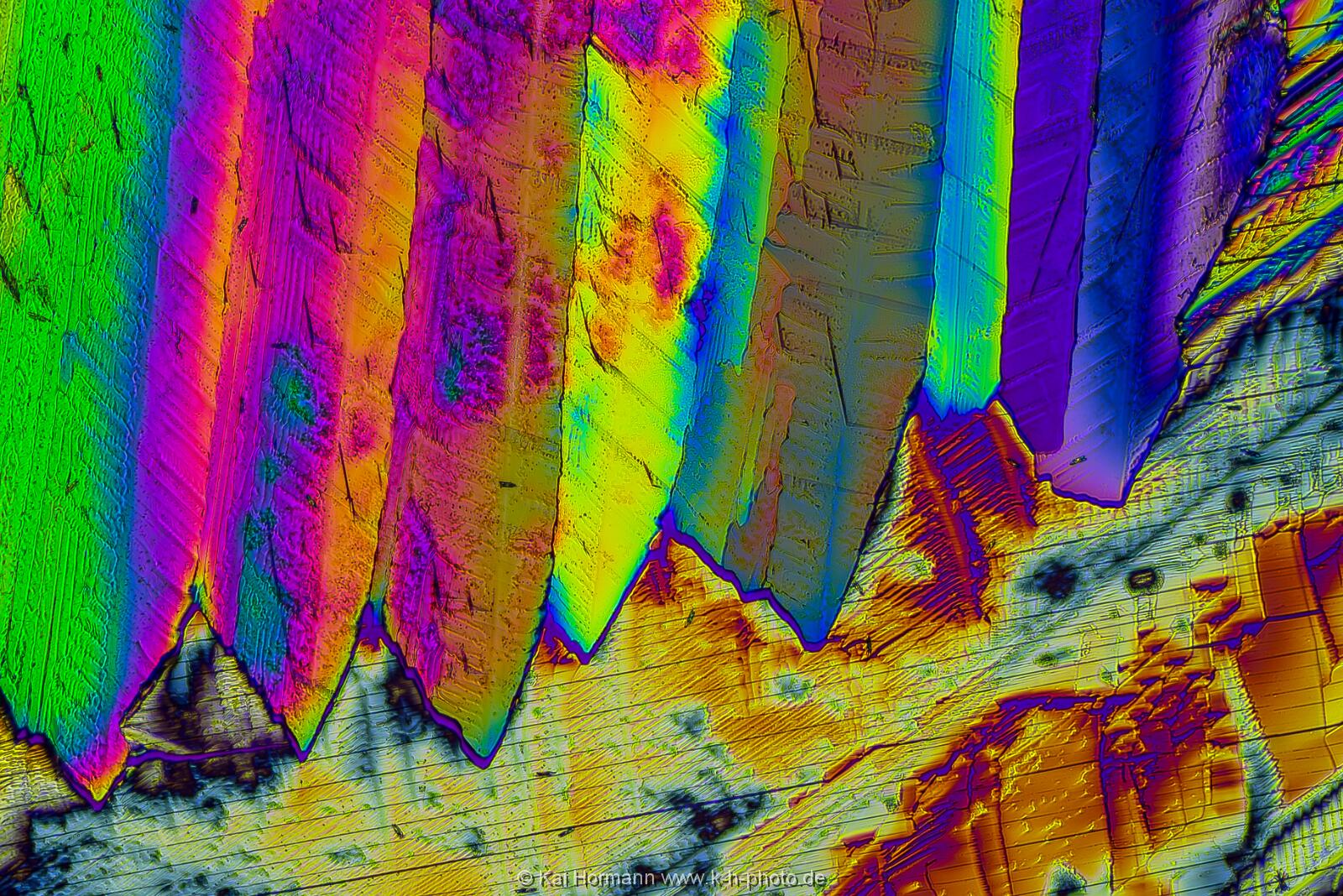 Adipinsäure Mikrokristalle im polarisierten Licht.