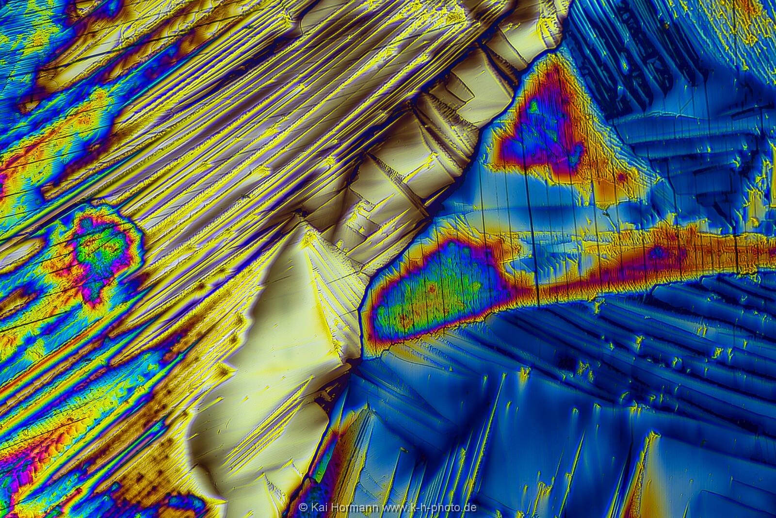 Adipinsäure Mikrokristalle im polarisierten Licht.
