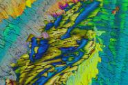 Adipinsäure Mikrokristalle im polarisierten Licht.