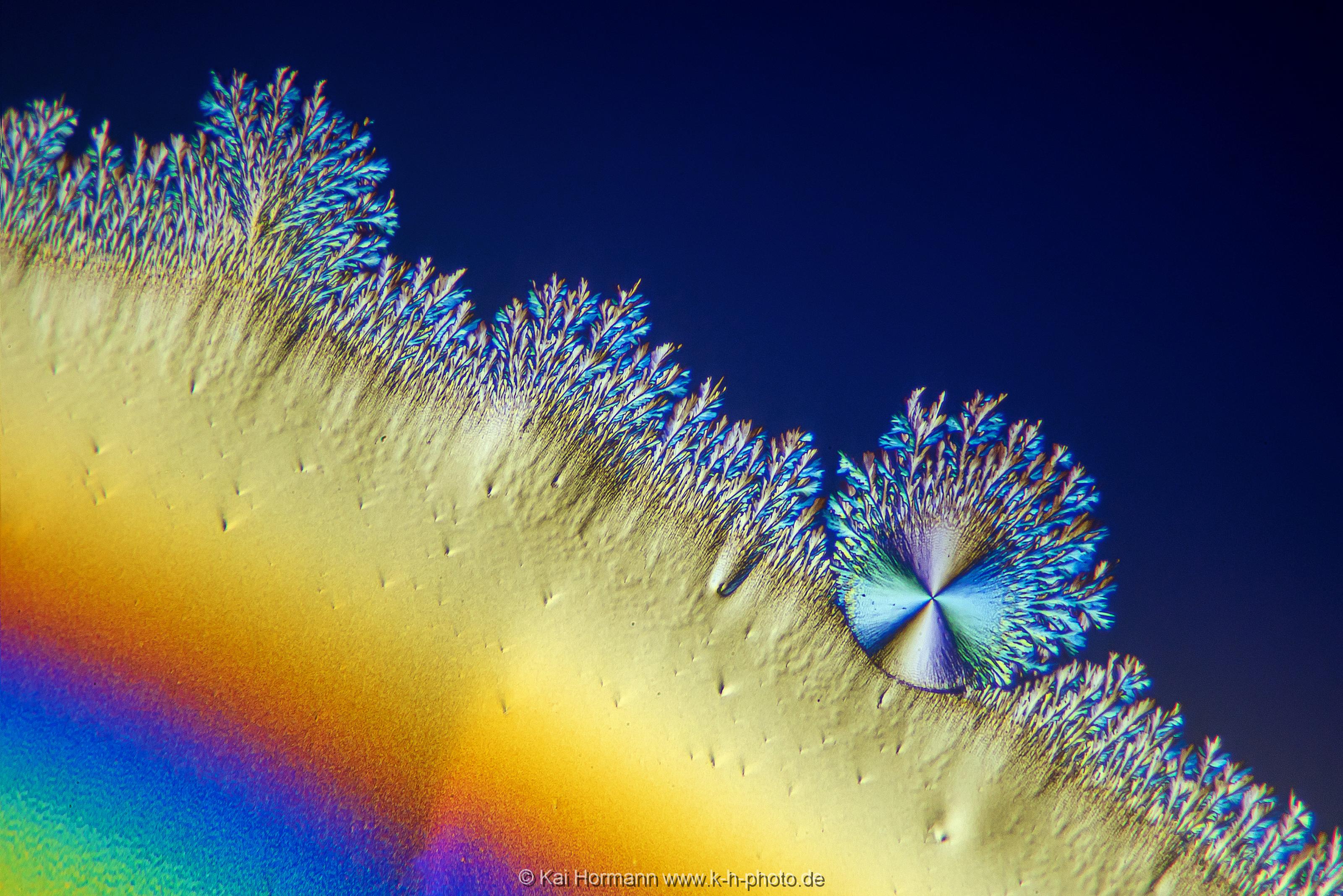 Ascorbinsäure (Vitamin C) Mikrokristalle im polarisierten Licht.