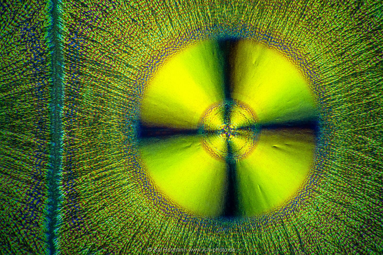Ascorbinsäure (Vitamin C) Mikrokristalle im polarisierten Licht.