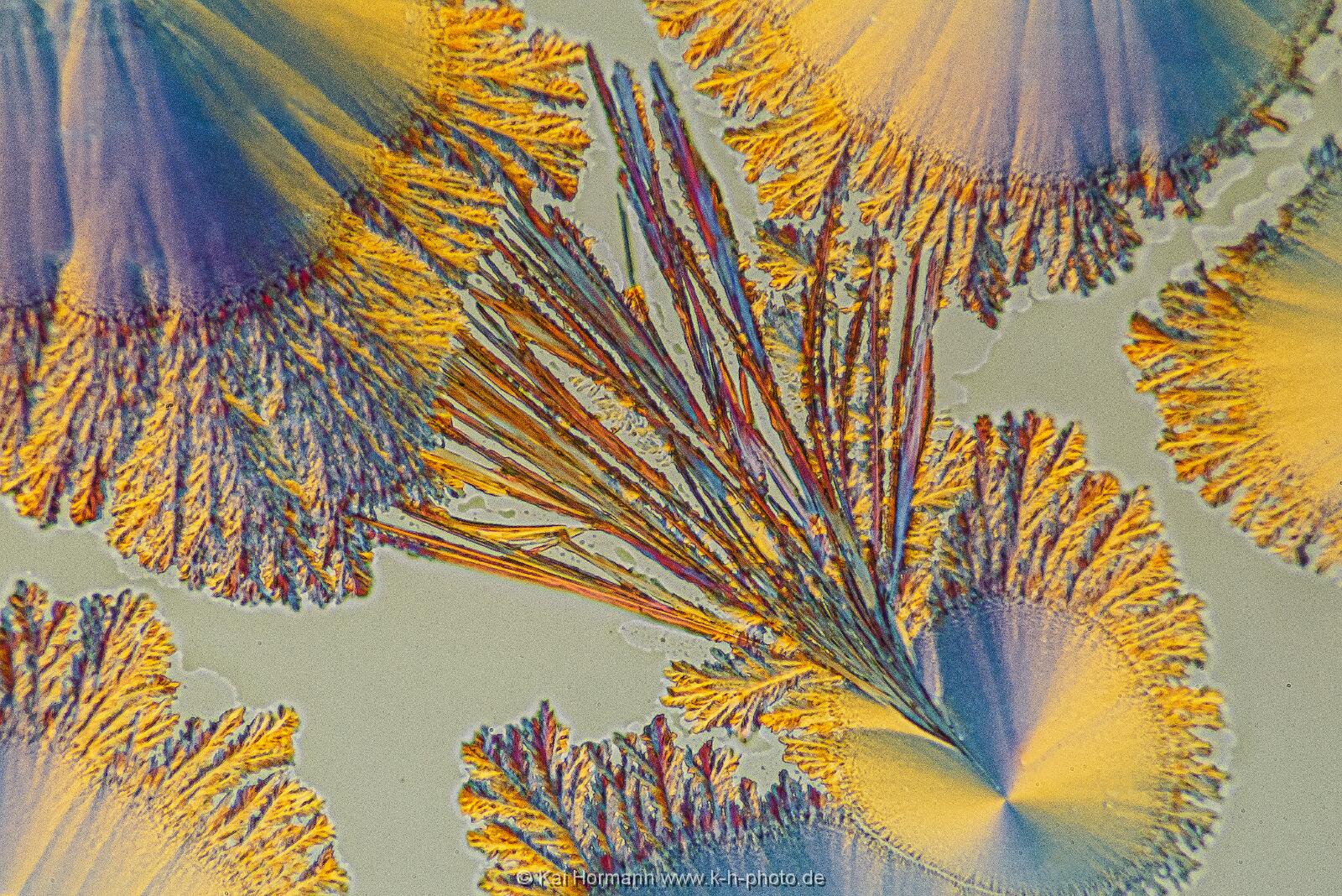 Ascorbinsäure (Vitamin C) Mikrokristalle im polarisierten Licht.