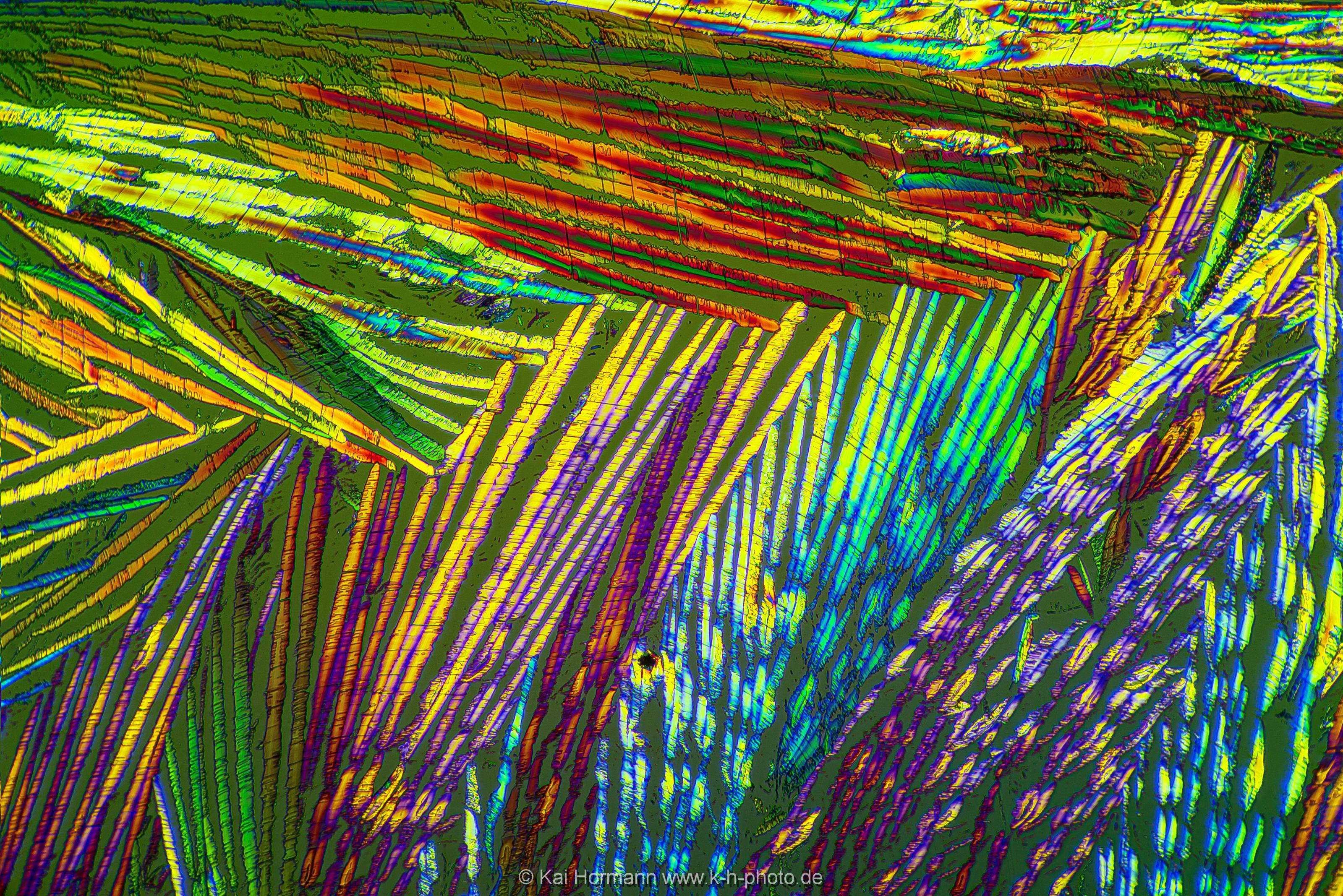Bernsteinsäure Mikrokristalle im polarisierten Licht.