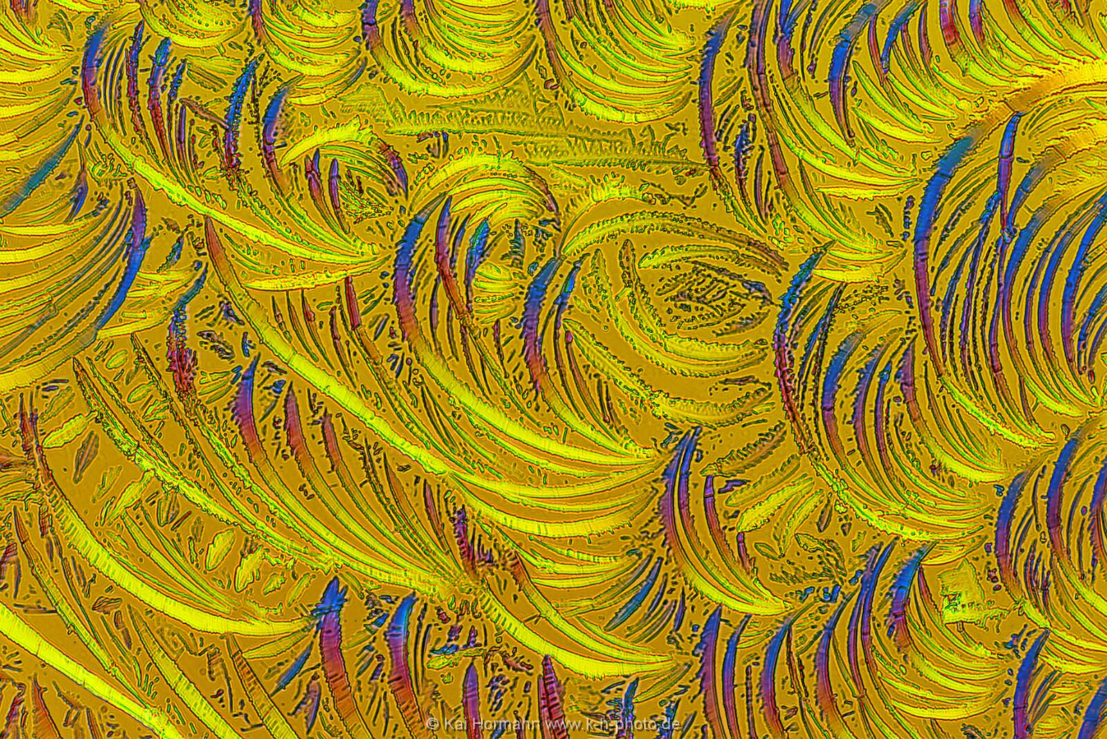 Bernsteinsäure Mikrokristalle im polarisierten Licht.