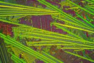 Cäsiumchlorid Mikrokristalle im polarisierten Licht.