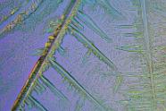 Cäsiumchlorid Mikrokristalle im polarisierten Licht.