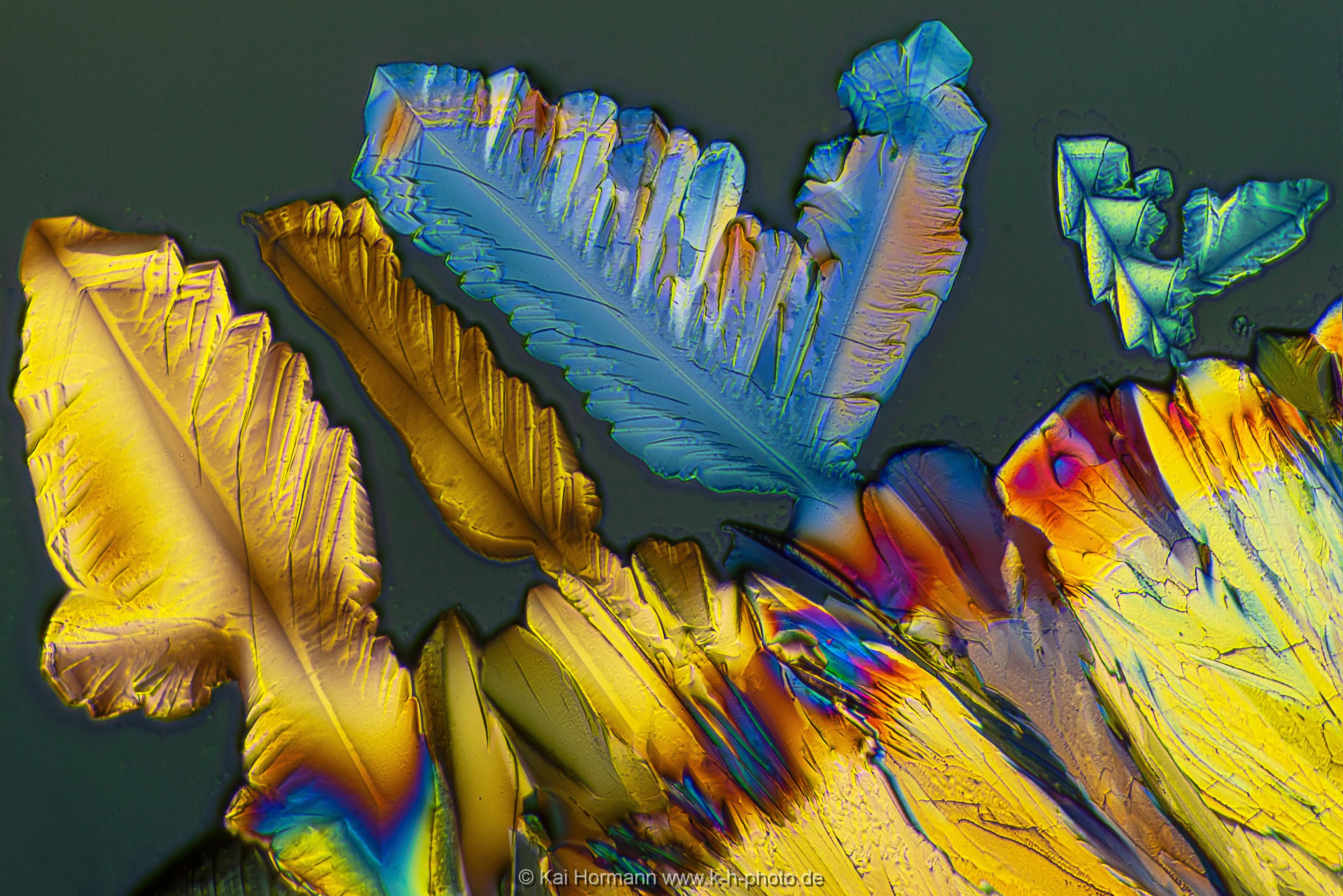 Zitronensäure Mikrokristalle im polarisierten Licht.