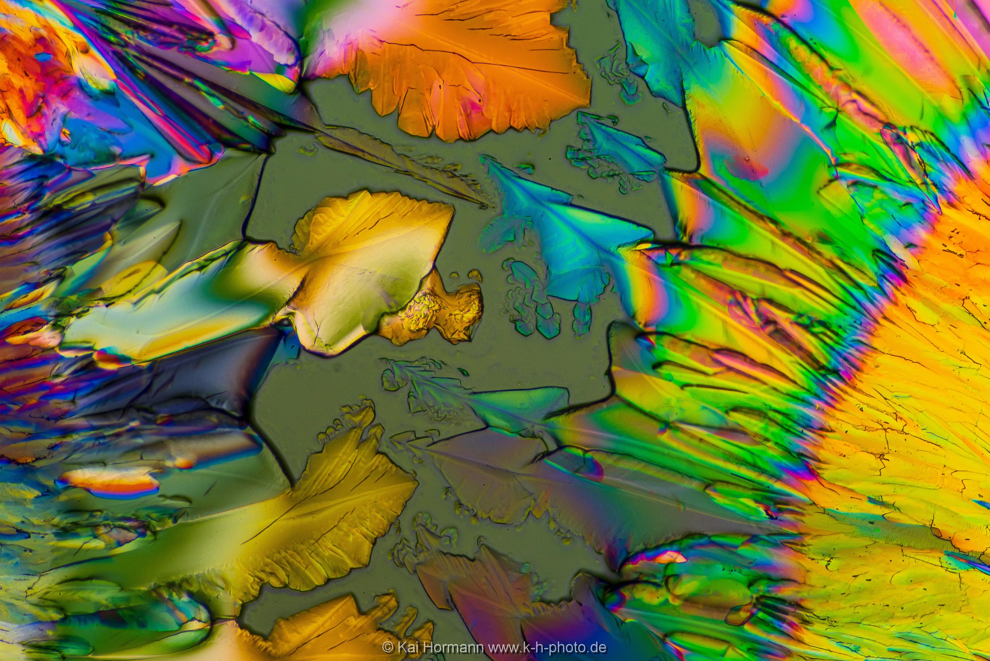 Zitronensäure Mikrokristalle im polarisierten Licht.