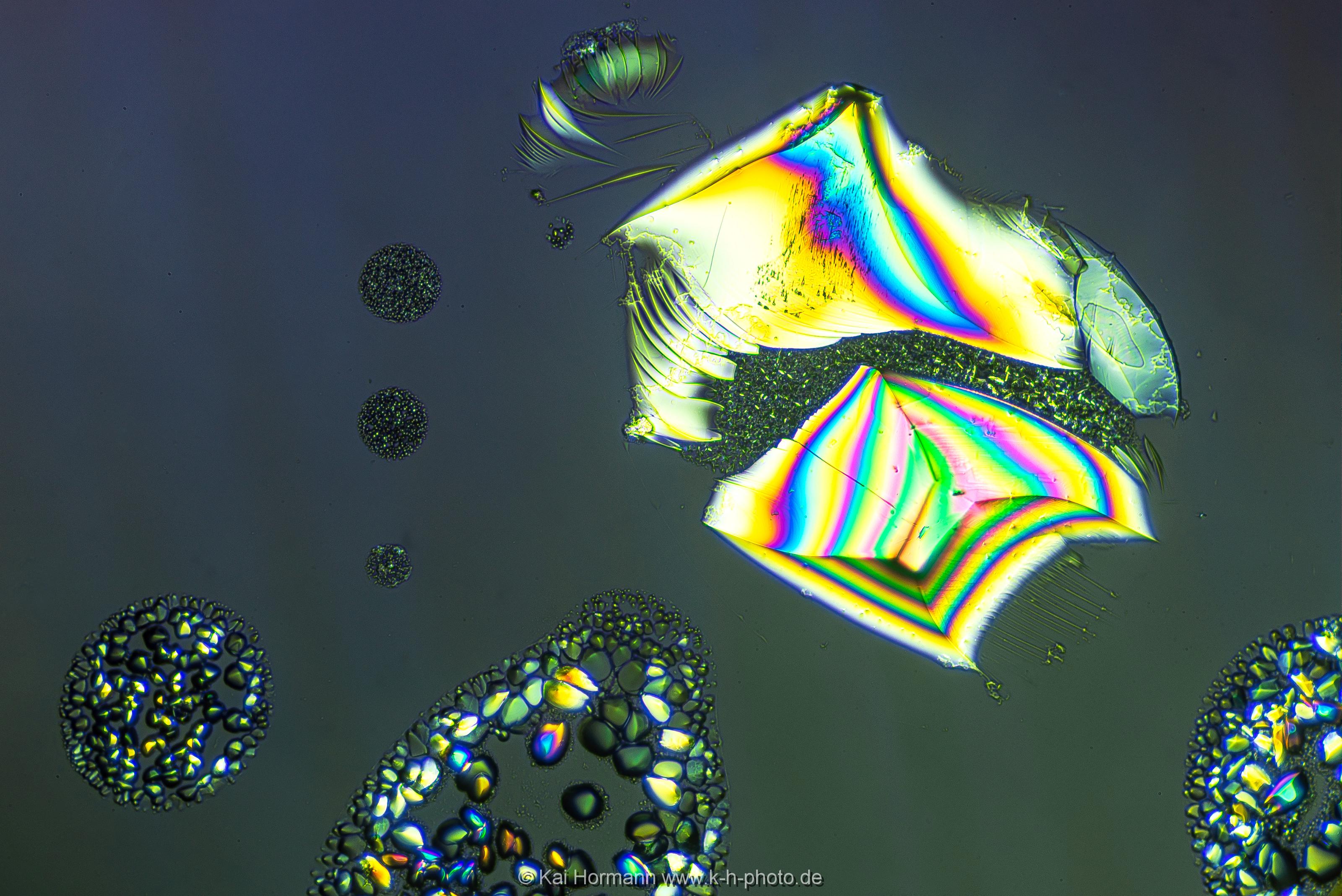 Hydrochinon Mikrokristalle im polarisierten Licht.