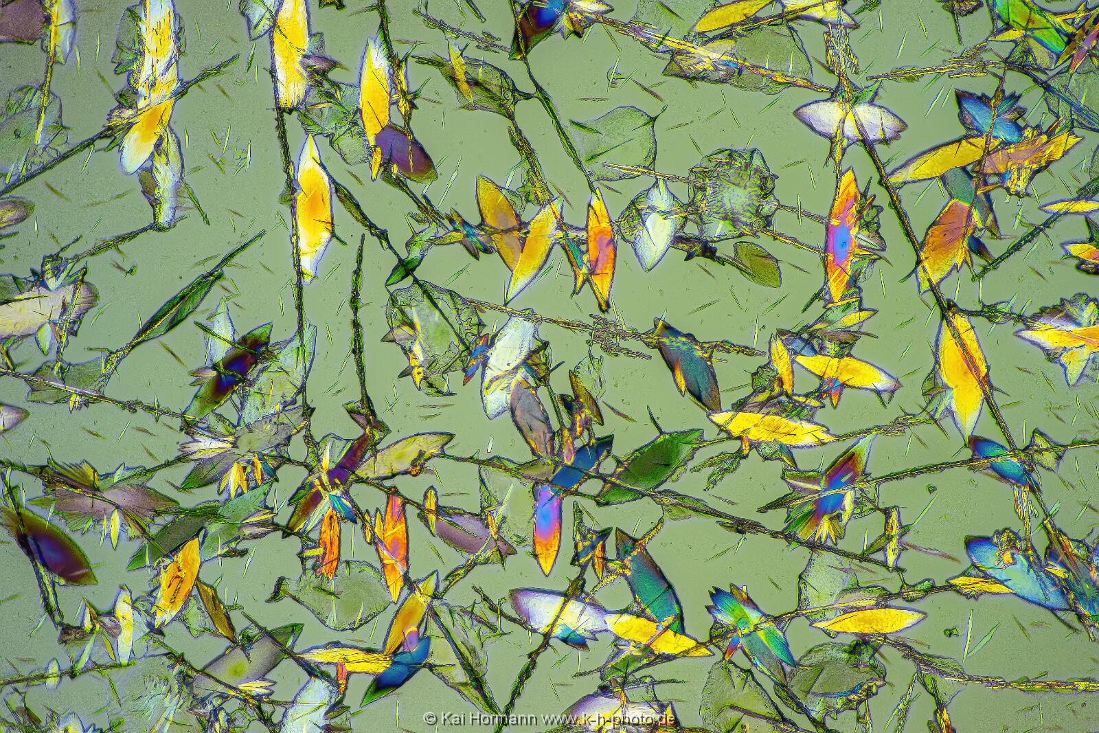 Hydrochinon Mikrokristalle im polarisierten Licht.