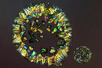 Hydrochinon Mikrokristalle im polarisierten Licht.