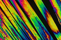 Kaliumnitrat Mikrokristalle im polarisierten Licht.