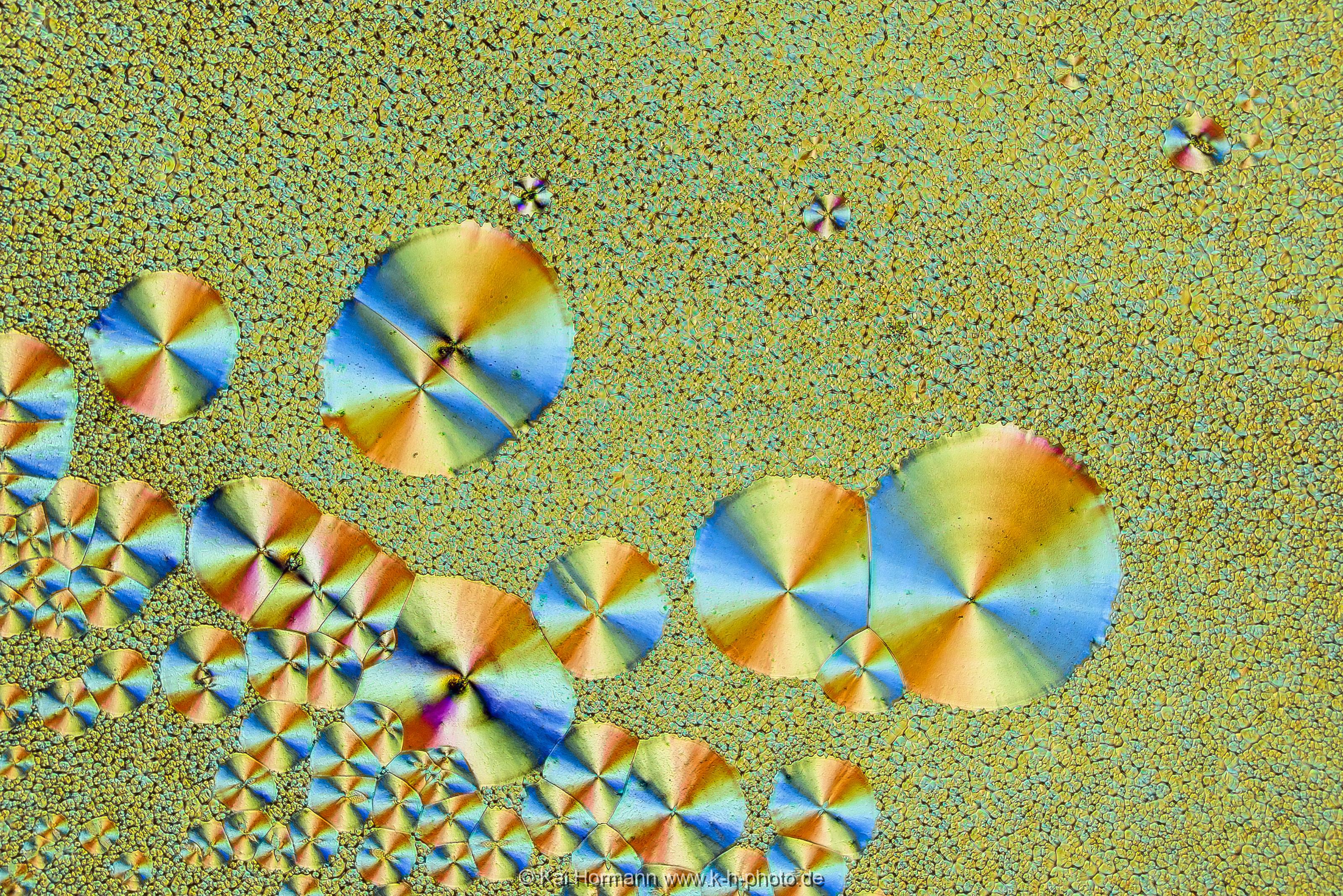 L-Glutaminsäure Mikrokristalle im polarisierten Licht.