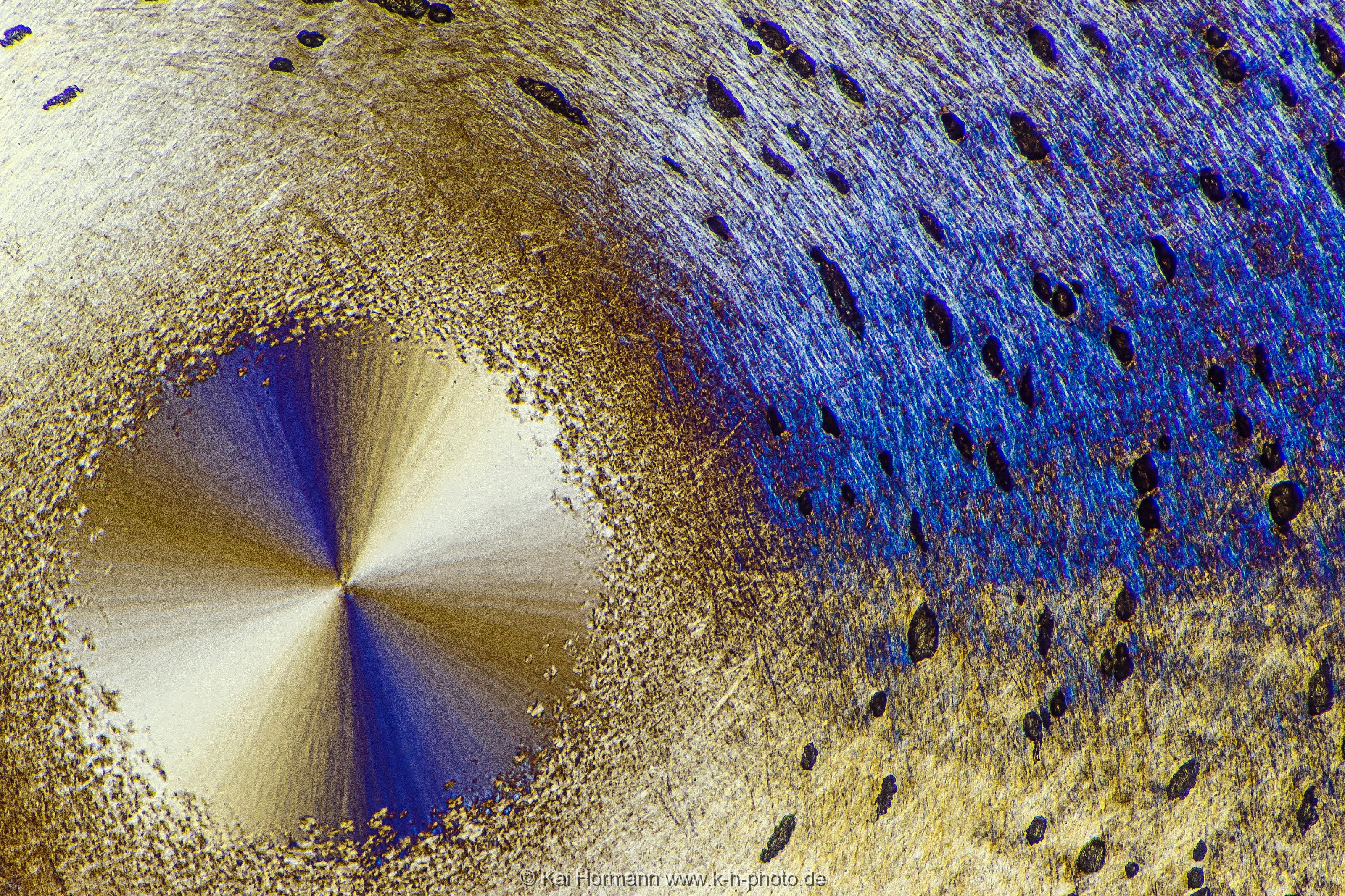 Menthol Mikrokristalle im polarisierten Licht.