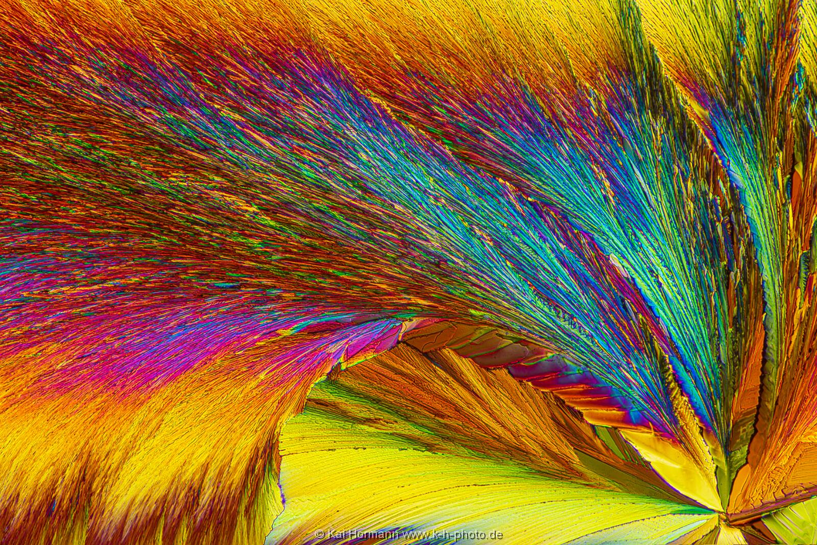 N-Acetylcystein Mikrokristalle im polarisierten Licht.