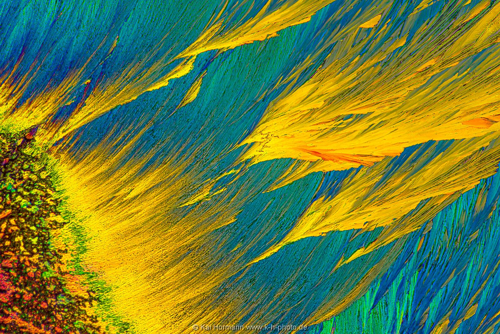 N-Acetylcystein Mikrokristalle im polarisierten Licht.