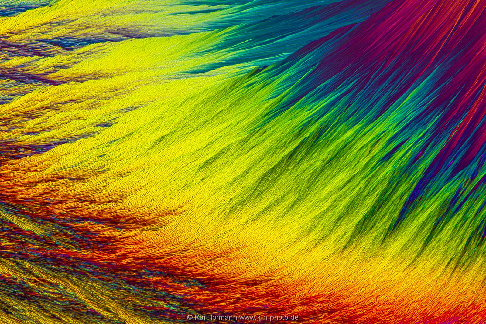 N-Acetylcystein Mikrokristalle im polarisierten Licht.