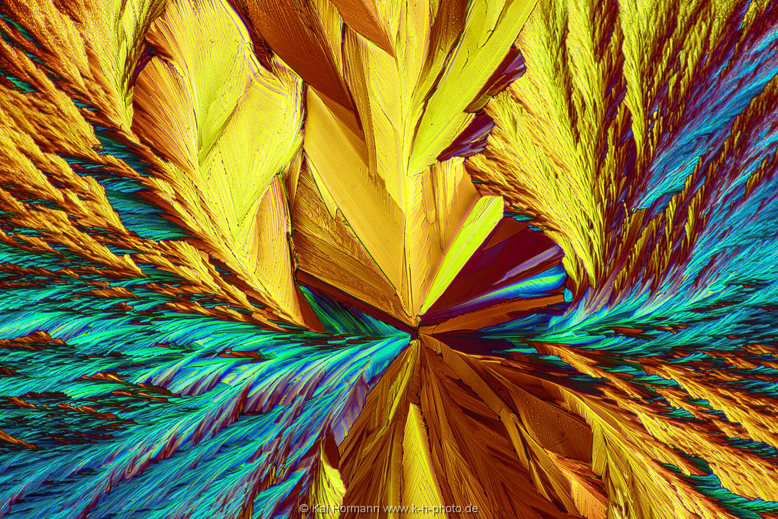 N-Acetylcystein Mikrokristalle im polarisierten Licht.