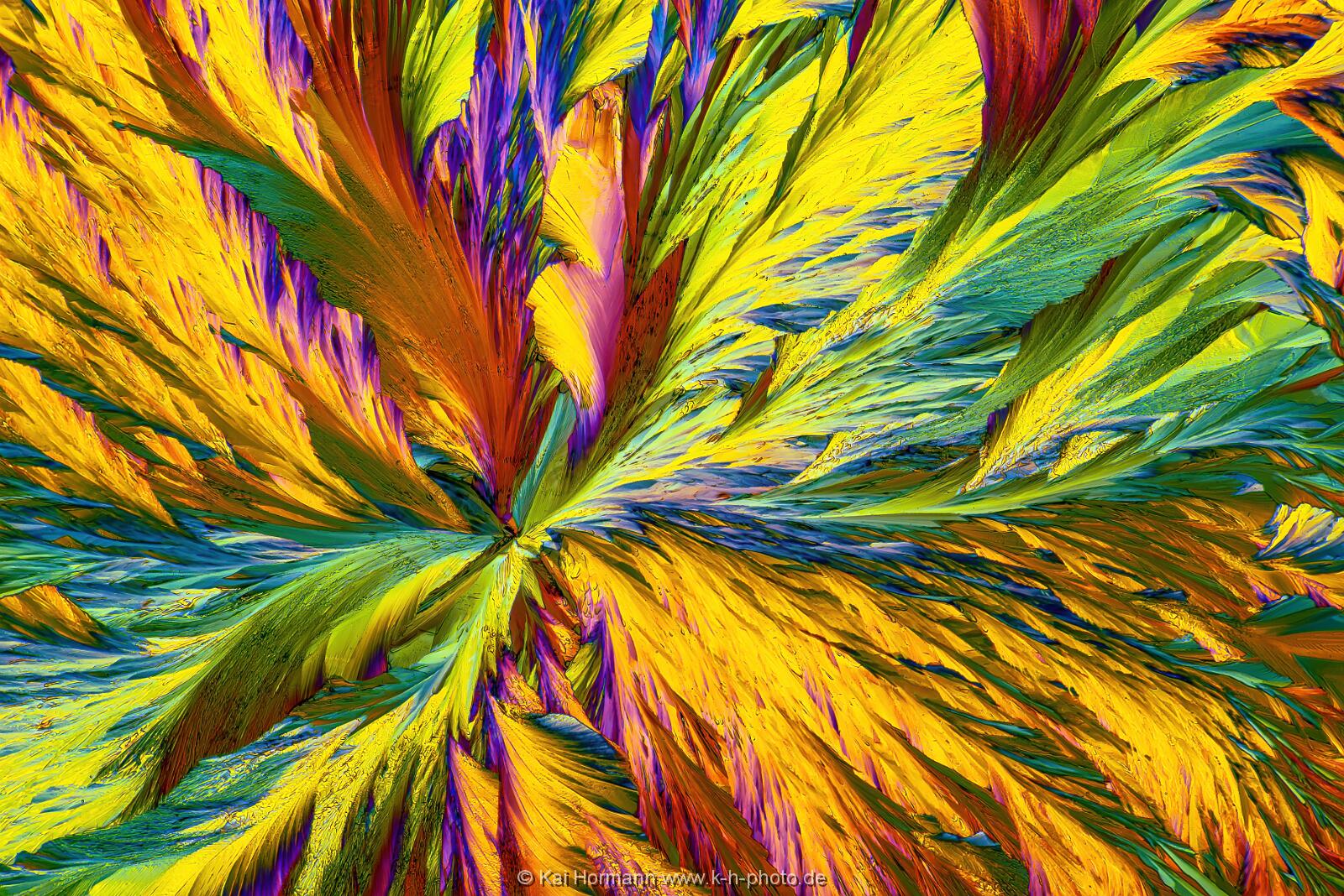 N-Acetylcystein Mikrokristalle im polarisierten Licht.