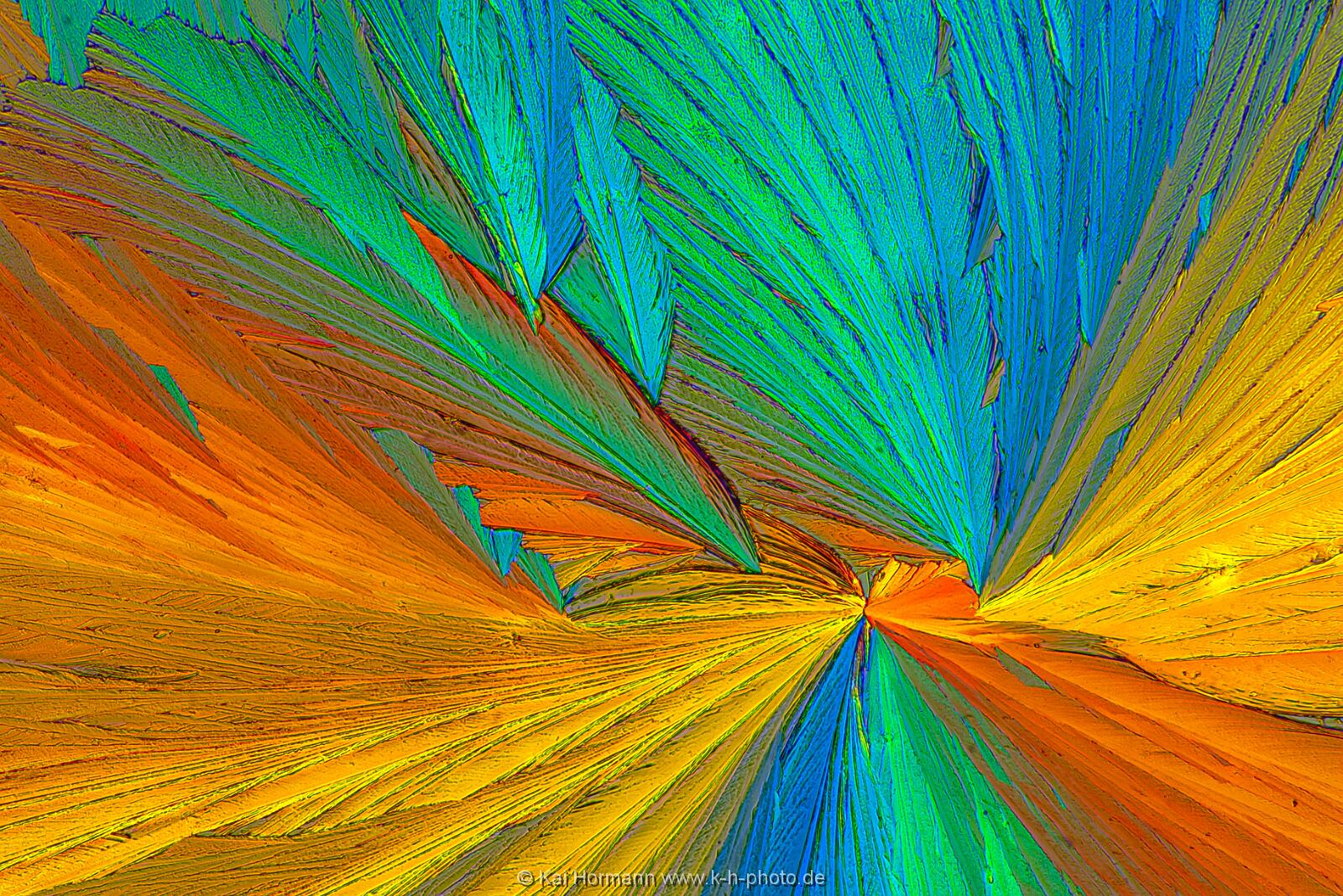 N-Acetylcystein Mikrokristalle im polarisierten Licht.