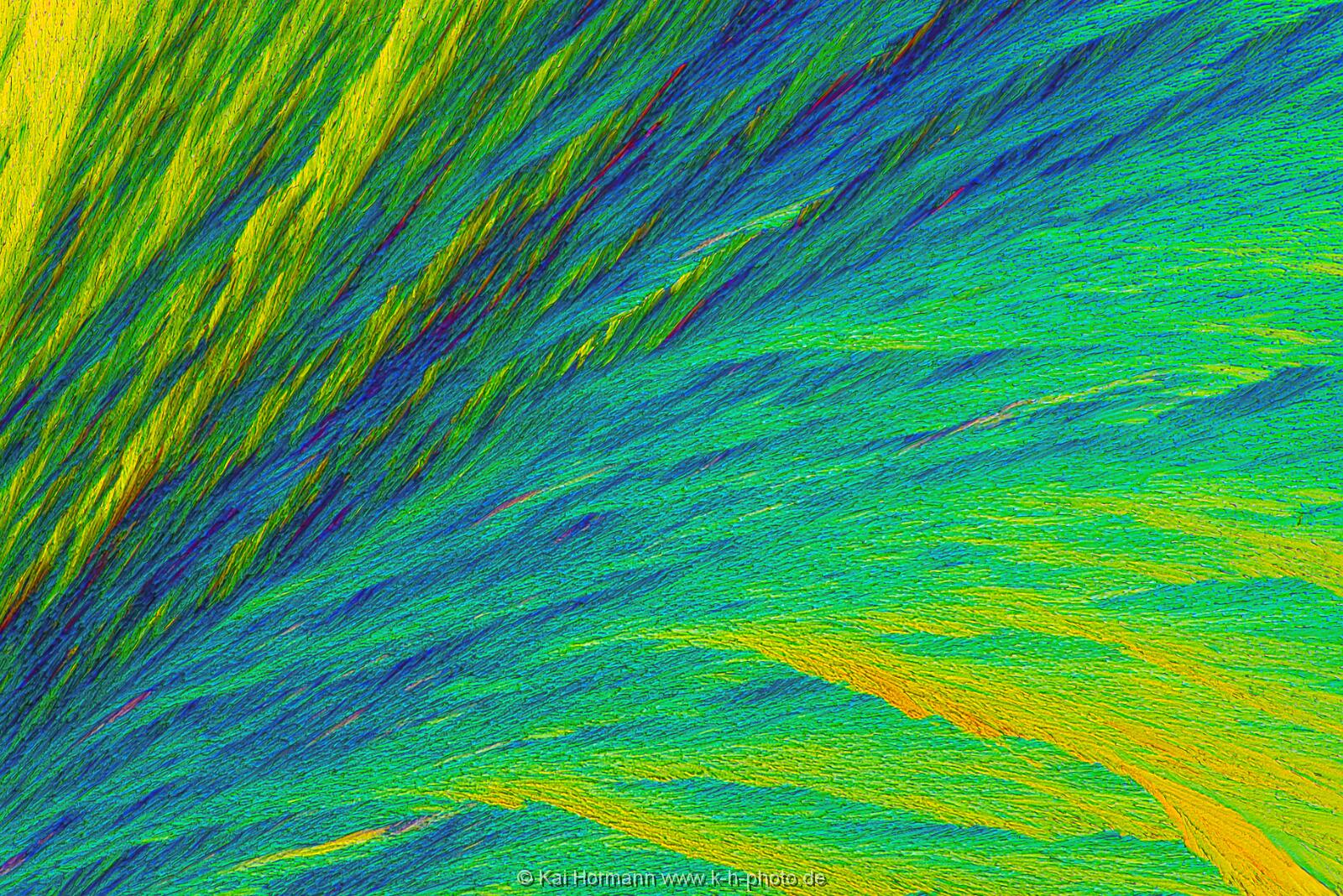 N-Acetylcystein Mikrokristalle im polarisierten Licht.