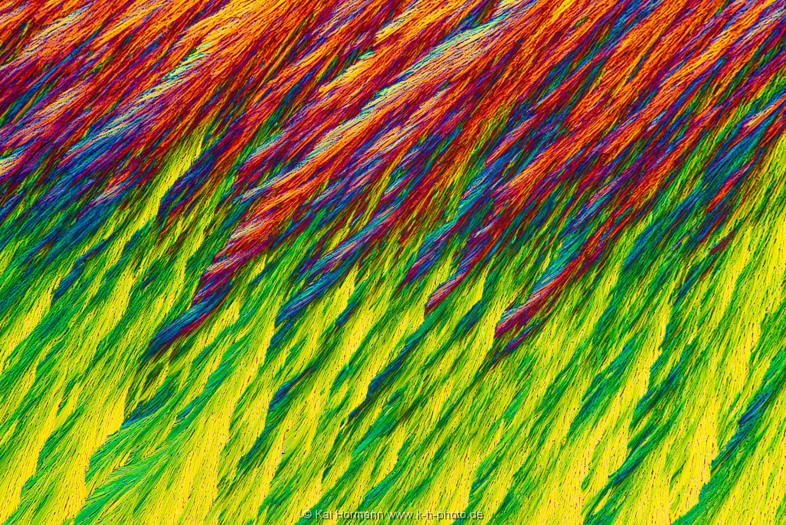 N-Acetylcystein Mikrokristalle im polarisierten Licht.