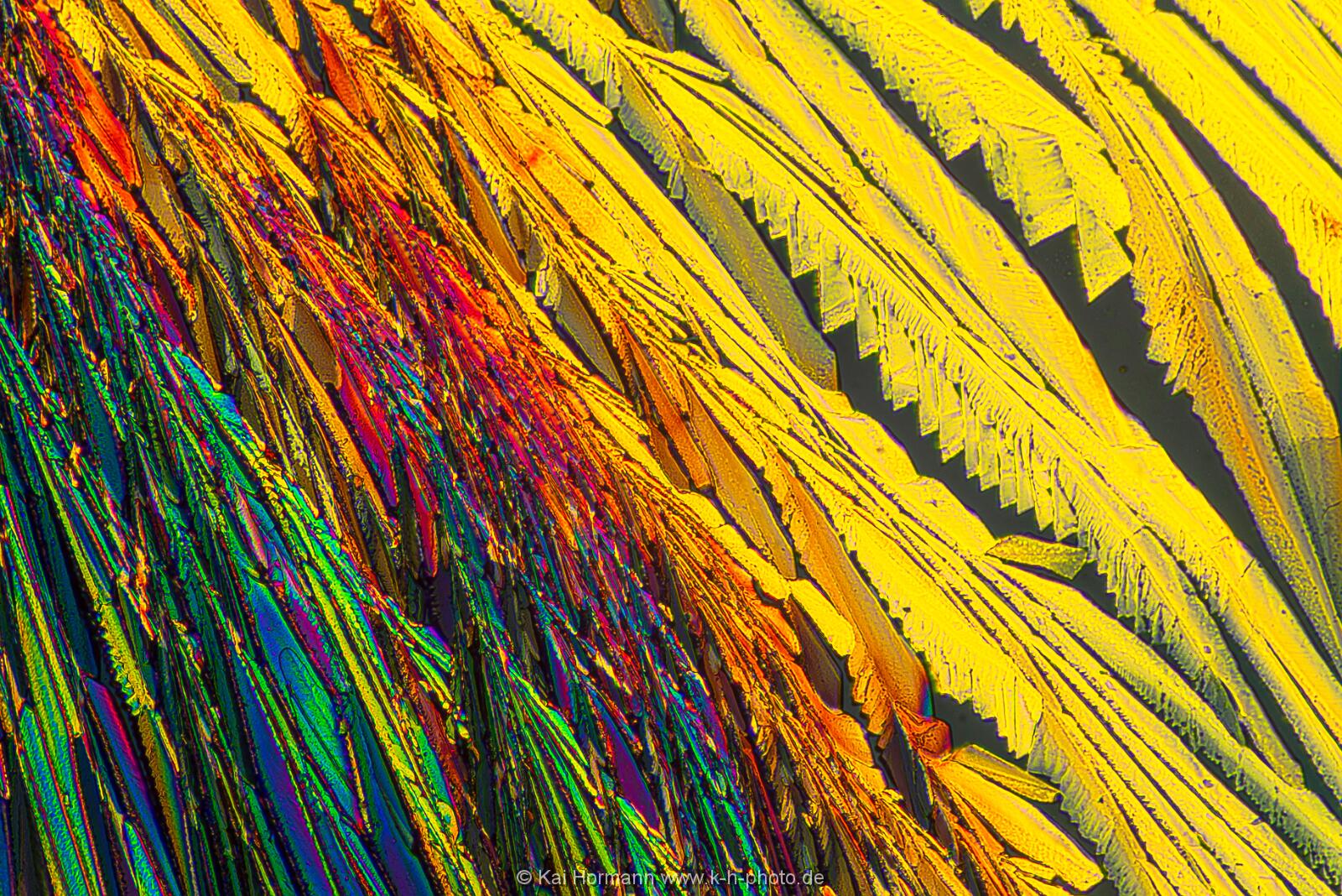 N-Acetylcystein Mikrokristalle im polarisierten Licht.