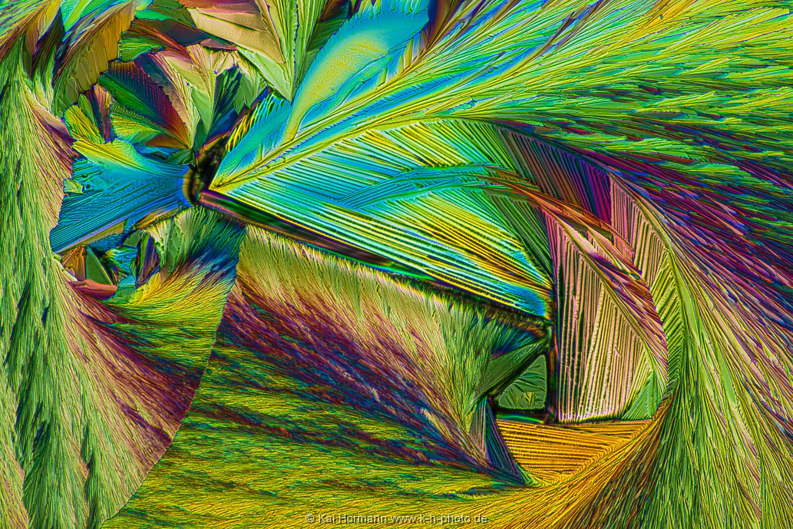 N-Acetylcystein Mikrokristalle im polarisierten Licht.