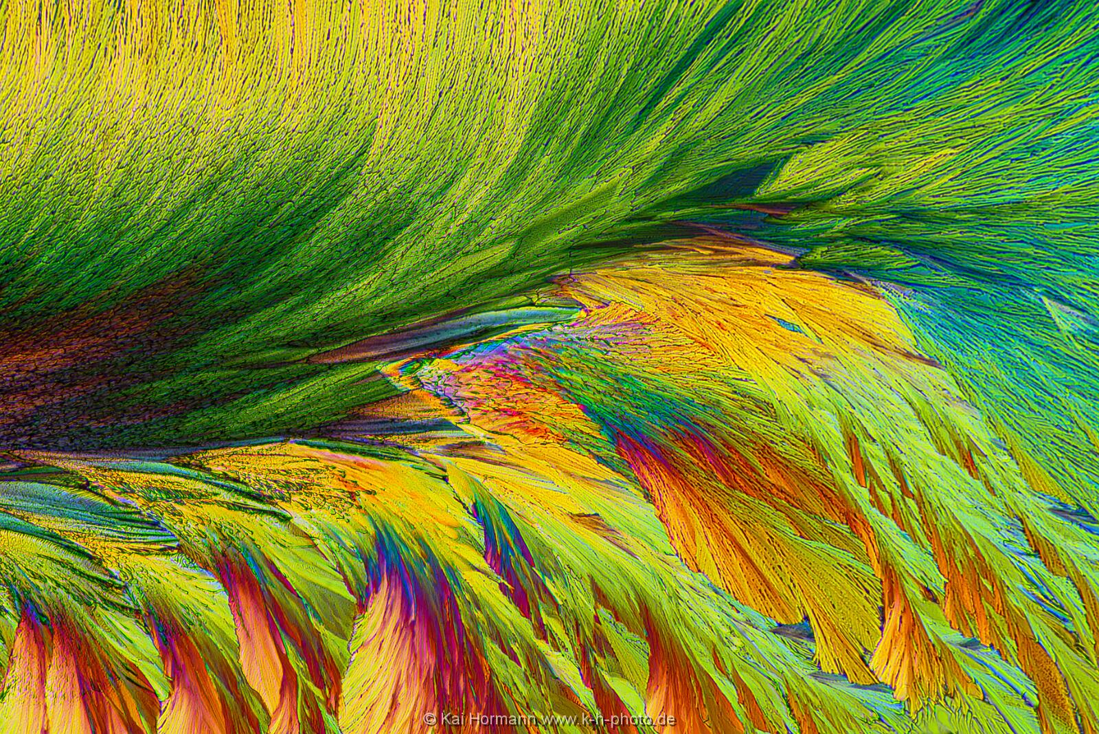 N-Acetylcystein Mikrokristalle im polarisierten Licht.