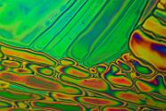 Natriumhydrogensulfat Mikrokristalle im polarisierten Licht.