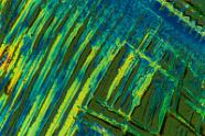 Natriumhydrogensulfat Mikrokristalle im polarisierten Licht.