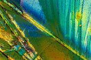 Natriumhydrogensulfat Mikrokristalle im polarisierten Licht.