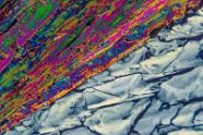 Natriumthiosulfat Mikrokristalle im polarisierten Licht.