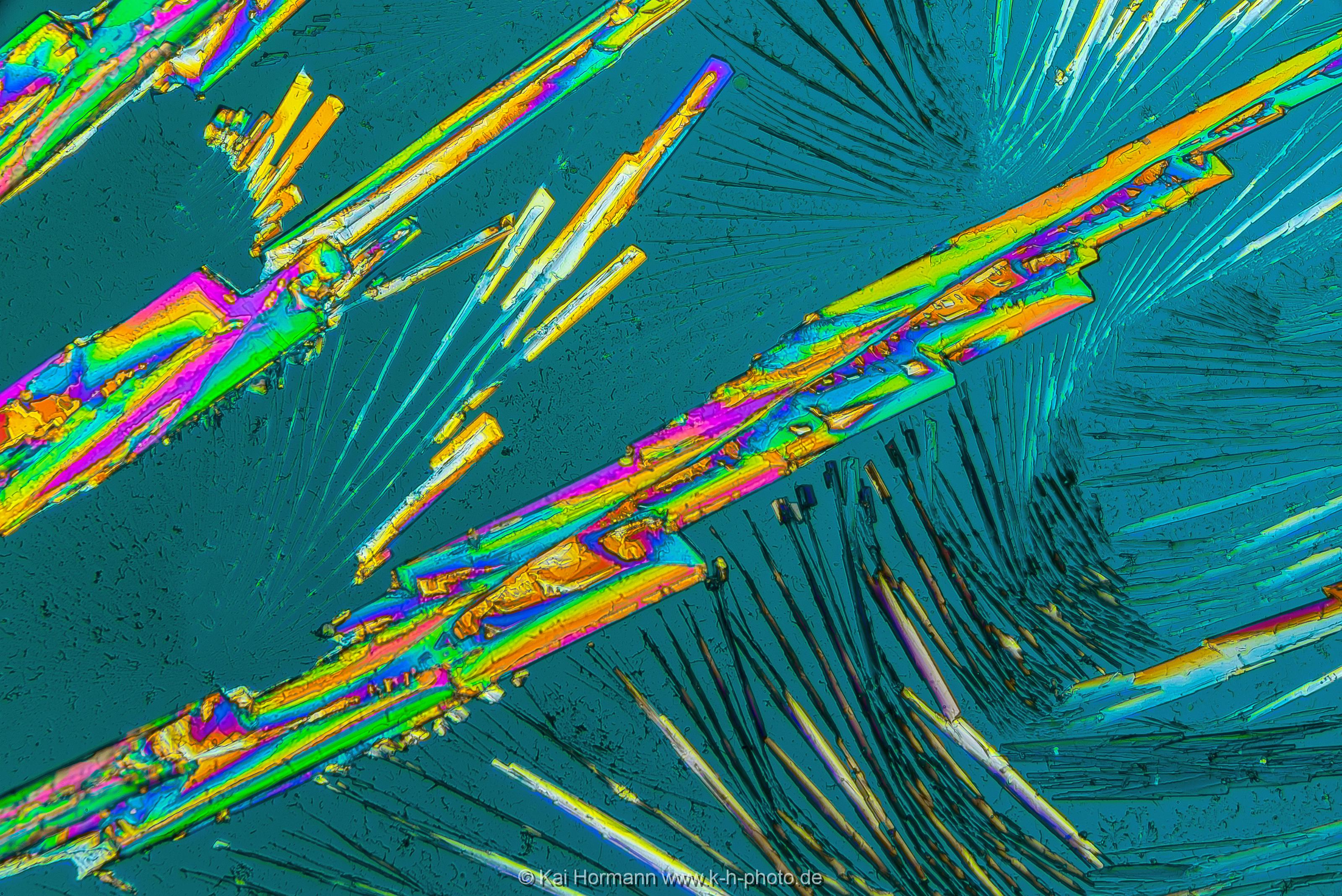 Oxalsäure Mikrokristalle im polarisierten Licht.