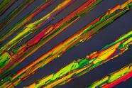 Oxalsäure Mikrokristalle im polarisierten Licht.