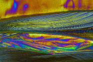 Phthalsäureanhydrid Mikrokristalle im polarisierten Licht.