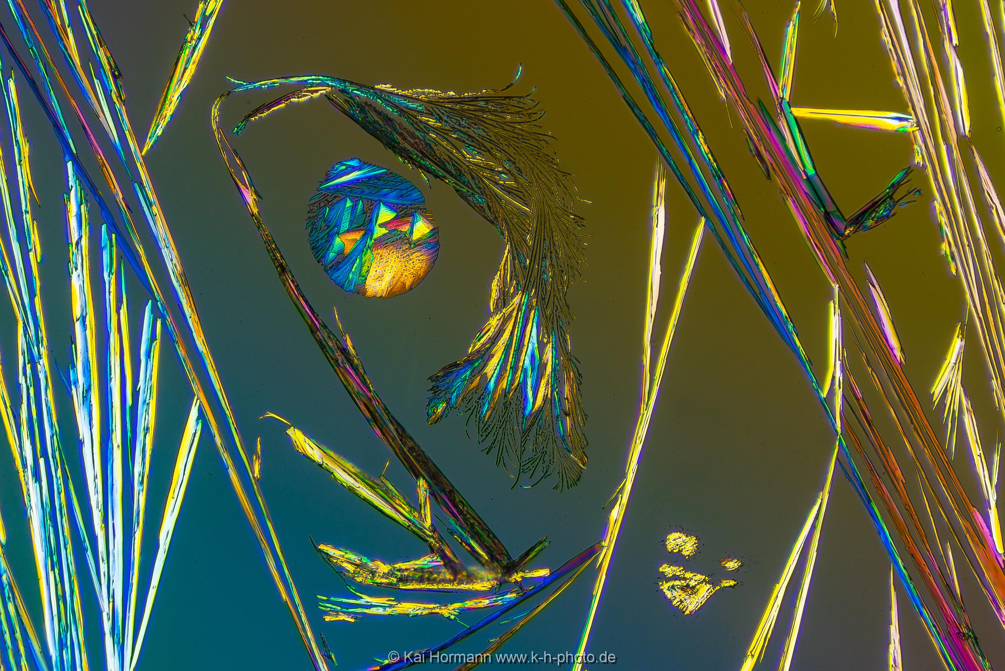 Salicylsäure Mikrokristalle im polarisierten Licht.