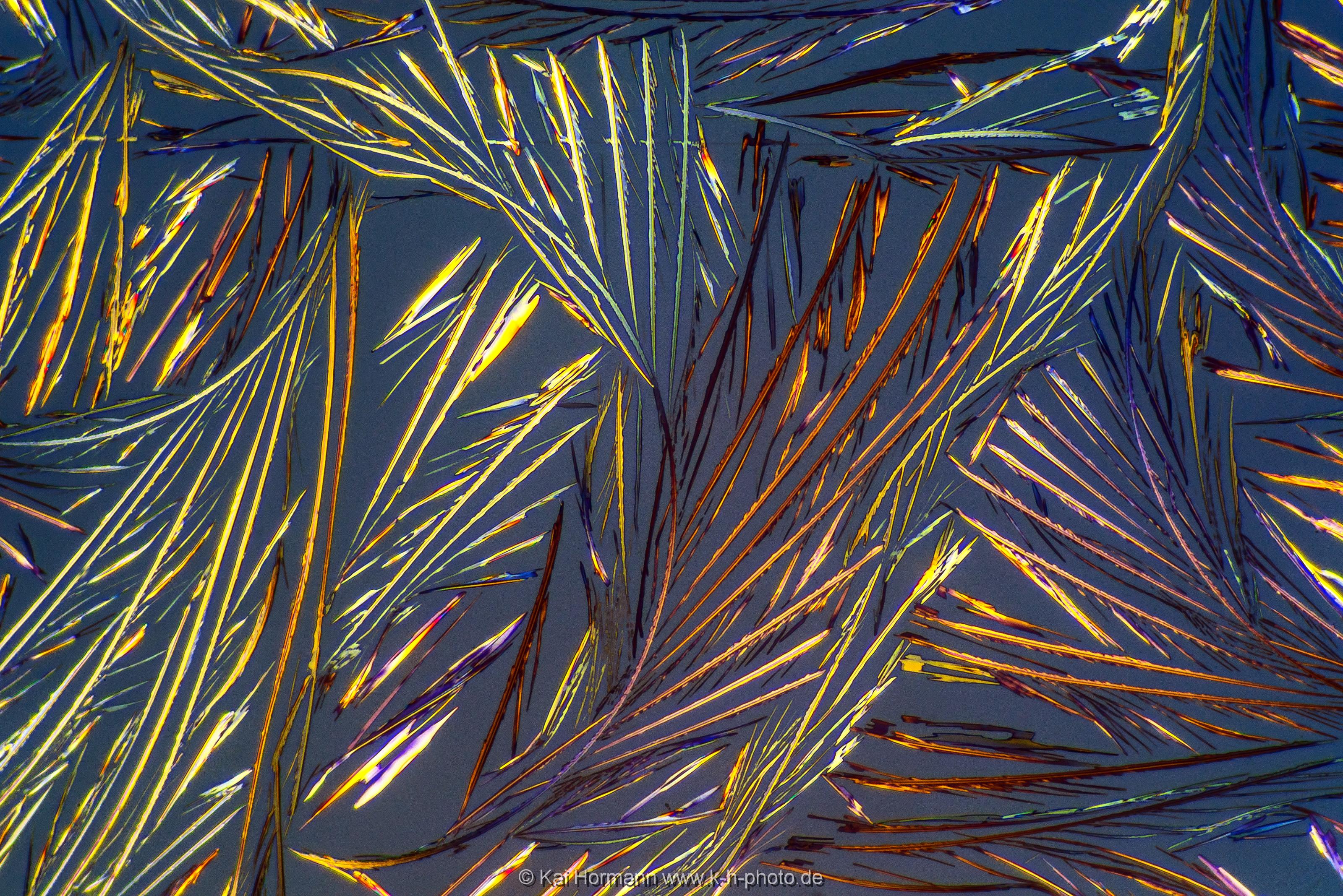 Salicylsäure Mikrokristalle im polarisierten Licht.