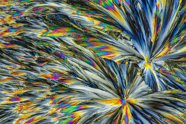 Acetylsalicylsäure Acetylsalicylsäure Mikrokristalle im polarisierten Licht. Mikroskopaufnahme, Vergrößerung ca. 50-100X. © Kai Hormann...