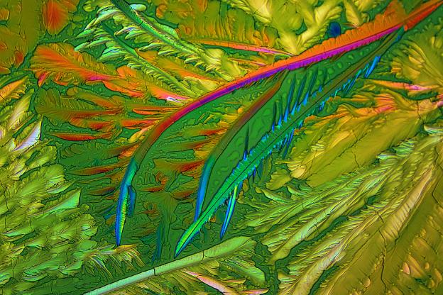 Apfelsäure Mikrokristalle in polarisiertem Licht. Mikroskopaufnahme, Vergrößerung ca. 50-100X.