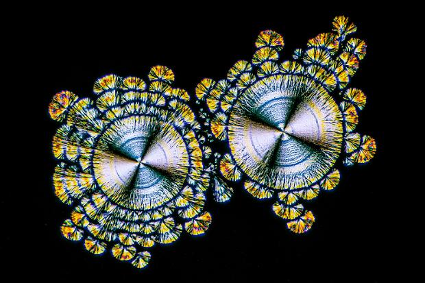 Ascorbinsäure (Vitamin C) Ascorbinsäure Mikrokristalle im polarisierten Licht. Mikroskopaufnahme, Vergrößerung ca. 50-100X. © Kai Hormann...