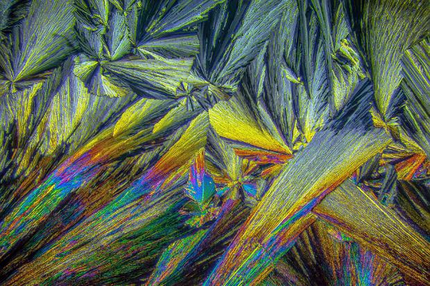 Cholin Cholin Mikrokristalle im polarisierten Licht. Mikroskopaufnahme, Vergrößerung ca. 50-100X. © Kai Hormann...