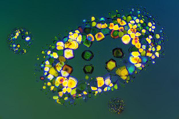 Hydrochinon Hydrochinon Mikrokristalle im polarisierten Licht. Mikroskopaufnahme, Vergrößerung ca. 50-100X. © Kai Hormann...