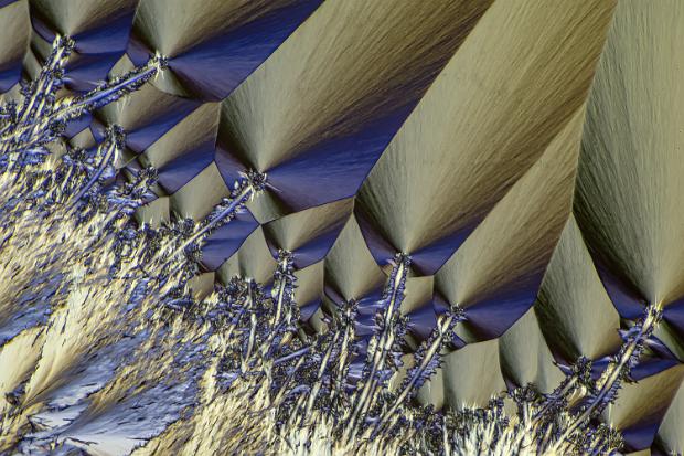 Menthol Menthol Mikrokristalle im polarisierten Licht. Mikroskopaufnahme, Vergrößerung ca. 50-100X. © Kai Hormann...