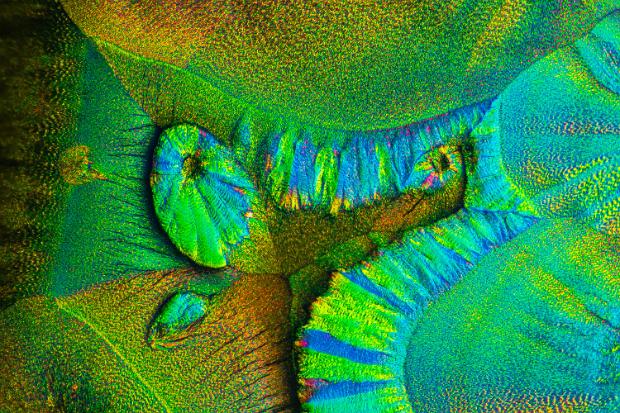 Metamizol-Natrium Metamizol-Natrium-Monohydrat Mikrokristalle im polarisierten Licht. Mikroskopaufnahme, Vergrößerung ca. 50-100X. © Kai...