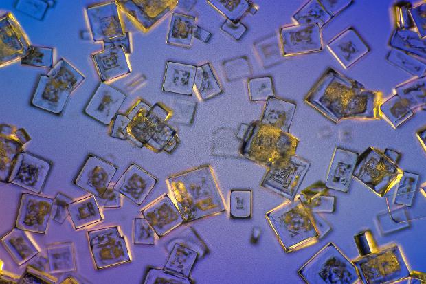 Natriumchlorid (Kochsalz) Natriumchlorid Mikrokristalle im polarisierten Licht. Mikroskopaufnahme, Vergrößerung ca. 50-100X. © Kai Hormann...