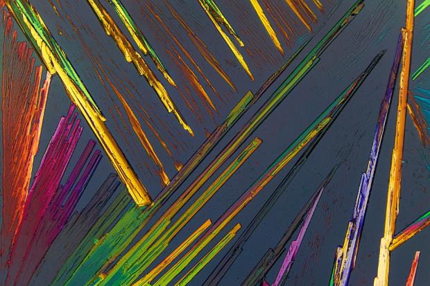 Oxalsäure Mikrokristalle in polarisiertem Licht. Mikroskopaufnahme, Vergrößerung ca. 50-100X.